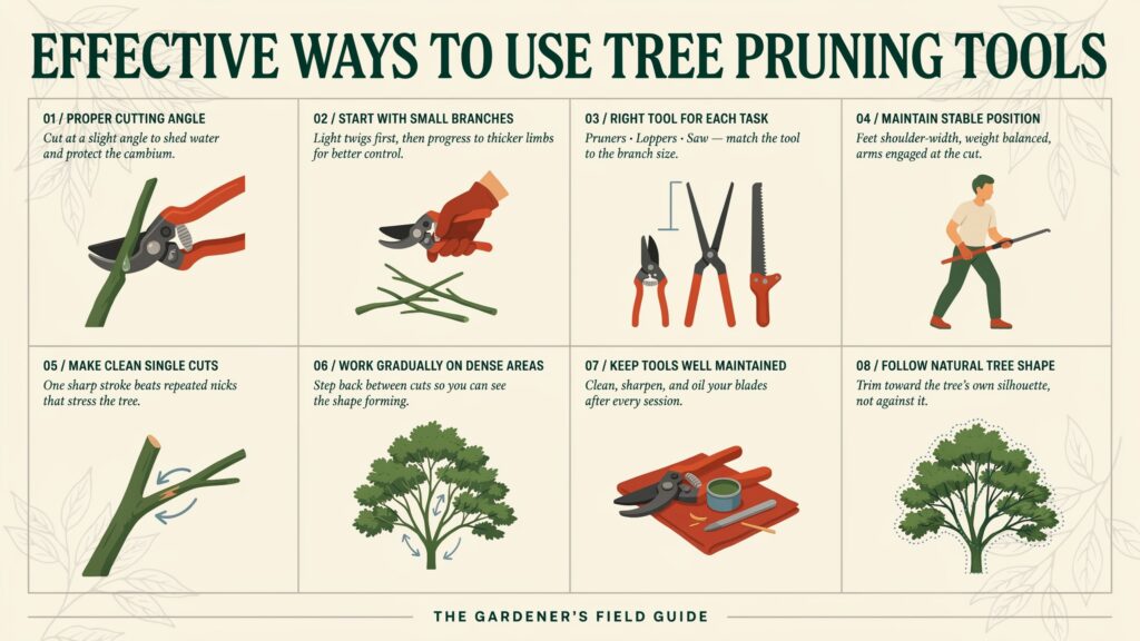 Tree branch cutters making clean and precise pruning cuts on tree branches