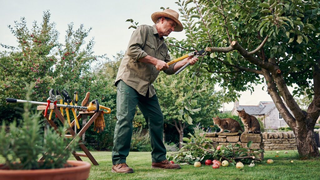 Tree branch cutters used for safe and easy tree pruning in garden maintenance
