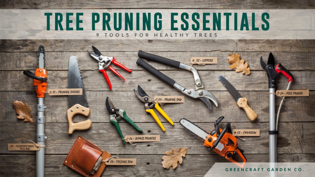 Different Tool for Cutting Branches for tree pruning