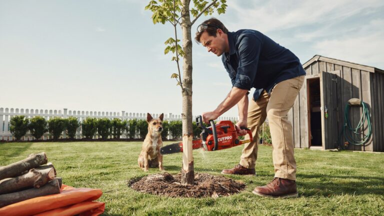 Can a mini chainsaw cut a tree? Compact mini chainsaw cutting a small tree branch safely outdoors.